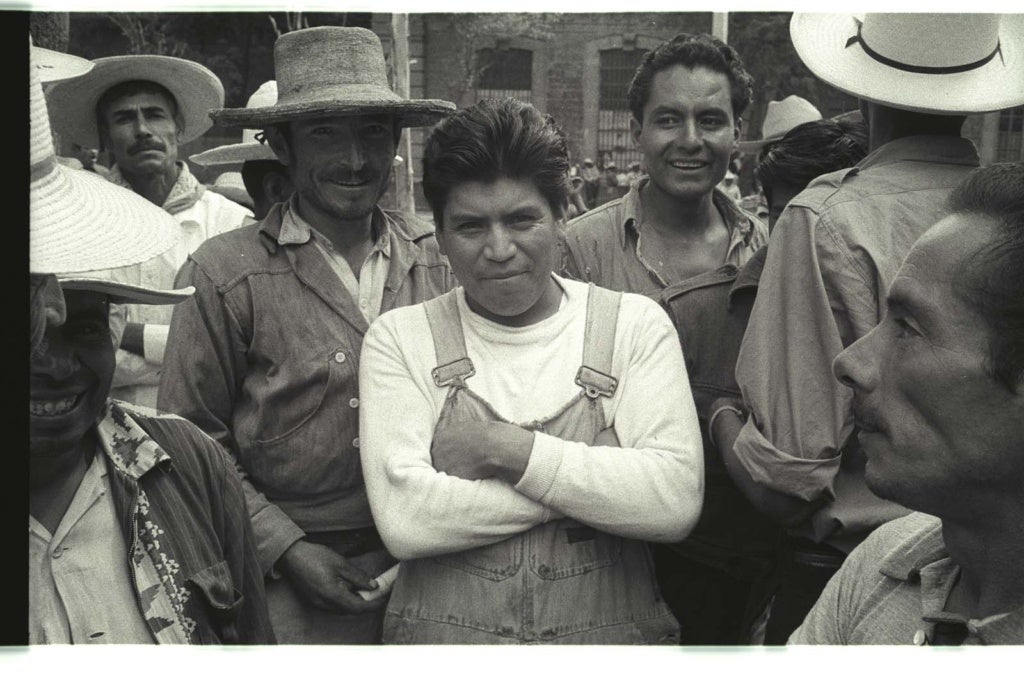 bracero program