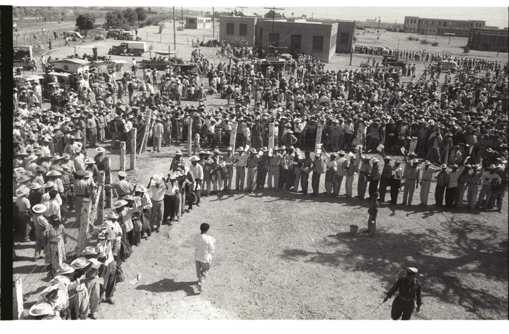 bracero program