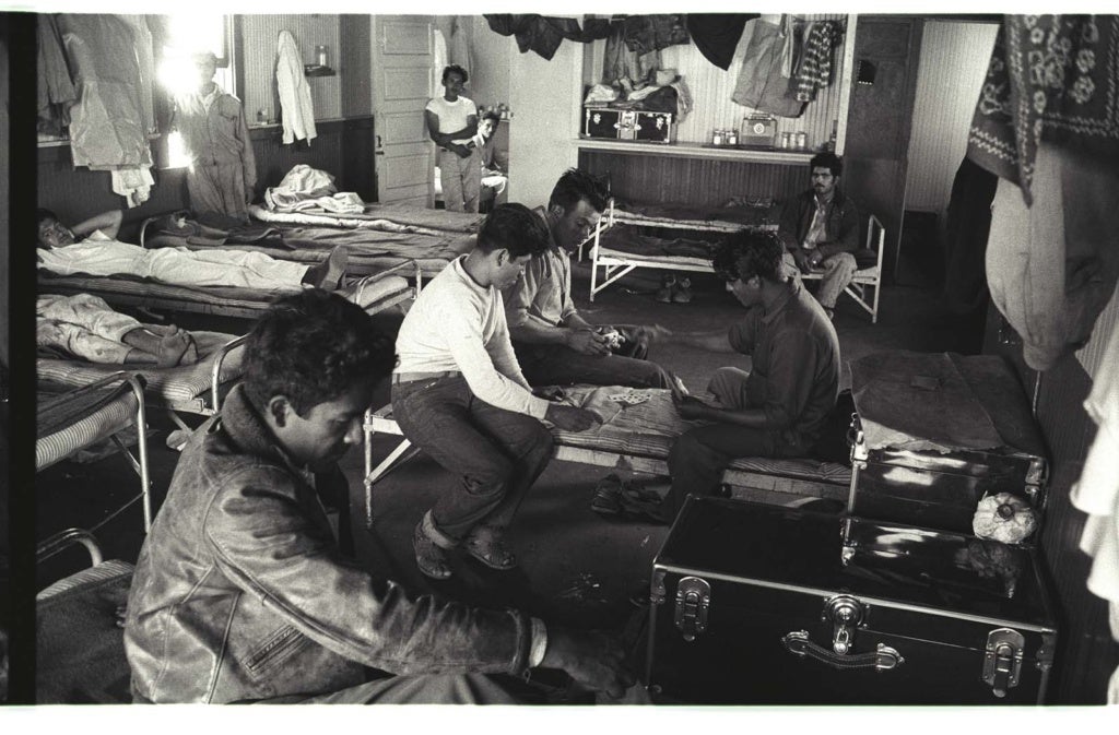 bracero program