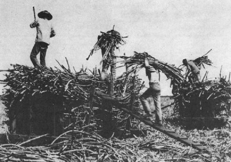 labor history